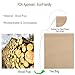 Aksuaple Eco-Fil Disposable Tea Filter Bags for Loose Tea, Wood Pulp Material, Biodegradable and Compostable, Unbleached Empty Tea Infuser Sachets with Drawstring, 100 Pack (3.2inch x 4.0inch)