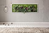  “L’elegante”, cuadro vegetal con musgo plano y plantas naturales estabilizadas, Moss Frame, sin manutención, Jungle Moss, jardín colgante estabilizado