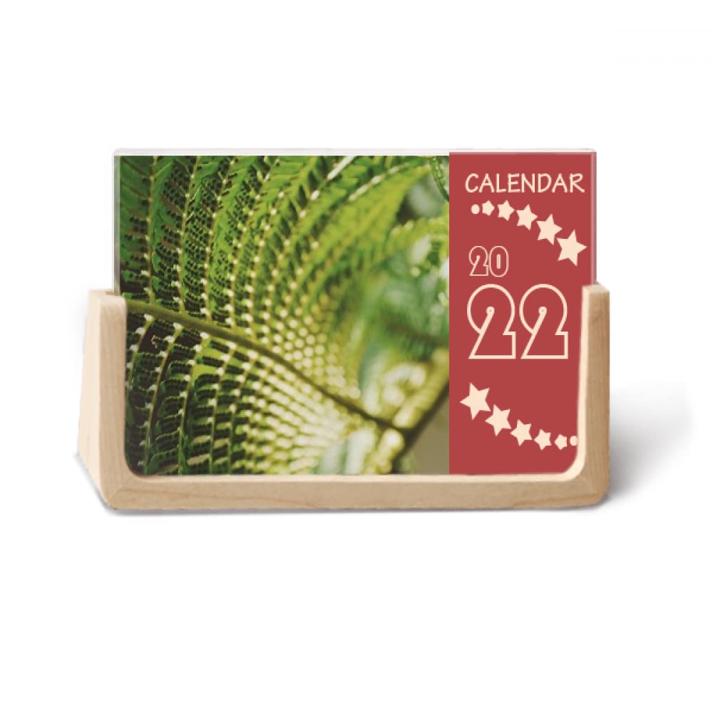 Calendrier de bureau 2022 DIYlab photo nature plante 12 mois pour papeterie de table