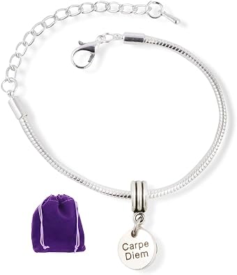 Carpe Diem  on small circle  Snake Chain Charm Bracelet Inspirational Gifts for Women and Men or Great Teacher Gifts and Best Friend Bracelets for 2 as Motivational Gifts and Bracelets for Women