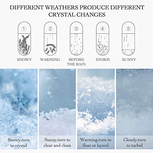 CAVEEN Storm Glass Weather Station - Creative Weather Predictor Globe Crystal Weather Forecaster with Wooden Base, Desktop Decorative Glass Bottle Home Decoration, Party Supply