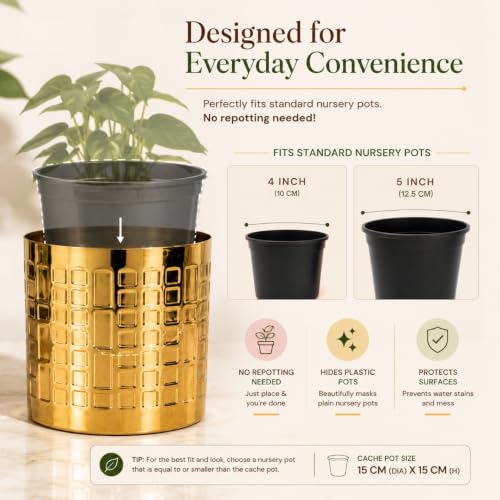 Image of ecofynd 1 Pack Metal Plant Pots (6 inch), Indoor Small Planter Flower Pots, Home Garden Decor Planter for Living Room Bedroom Interior (Gold Finish, POT055)