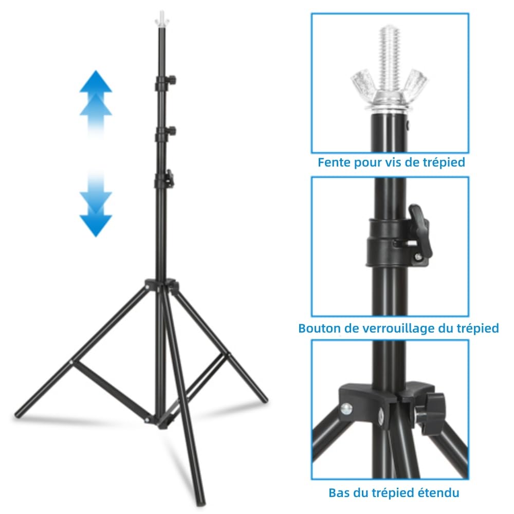 Outvita T-Forme Support Fond Photo 260 x 150cm,Support Toile de Fond Photo Trépied Réglable avec 4 Pinces,pour Professionnel Fond Studio Photo,Photographie Portrait, G49000032