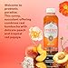 SYNERGY The Real Kombucha - Peach Paradise - 16 fl oz Bottle - Raw Probiotic Drink for Gut Health and Immune Support