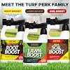 Turf Perk Lawn Boost Solution Spray 32 fl oz Covers 5,000 Sq Ft Amino Acid Lawn Formula Hose-End Application for Routine Care Safe for Pets & Kids