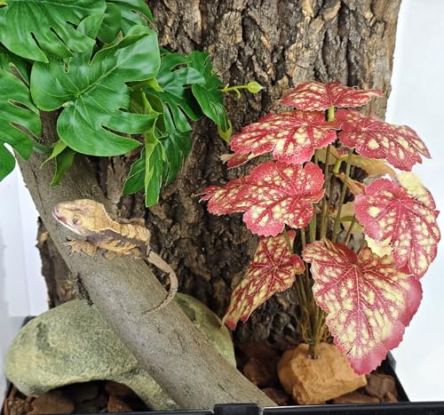 Woyrise Reptile Artificial Plants for Terrarium Decor, Amphibian Habitat Decorations Bearded Dragon Tank Accessories fit Crested Gecko Leopard Lizard Chameleon Snake Frog - Fake Pink Heuchera