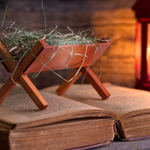 Omelie feriali per l'Avvento e il S. Natale copertina