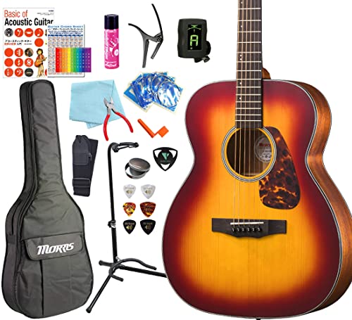 [X ARM S nCO[h 17_ Zbg MORRIS F-021 AR[XeBbNM^[ RBS [98765] yi㔭ňSz