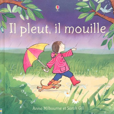 IL PLEUT IL MOUILLE [French] 0746065566 Book Cover