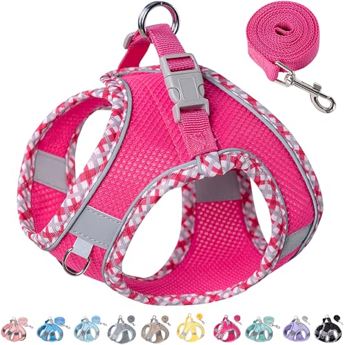 Image of Petank Dog Harness for Small Medium Dogs No Pull, Puppy Harness and Leash Set for Walking, Running, Training, Small Dog Harness, Medium Dog Harness (Rose Red, S)