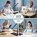 LIONVISON 10x Magnifying Glass with Light: 2-in-1 Magnifying Lamp with Light and Stand and Clamp - Stepless Color & Brightness Desk LED Clamp Lamp with Extra-Long Arm for Seniors Crafts Hands Free