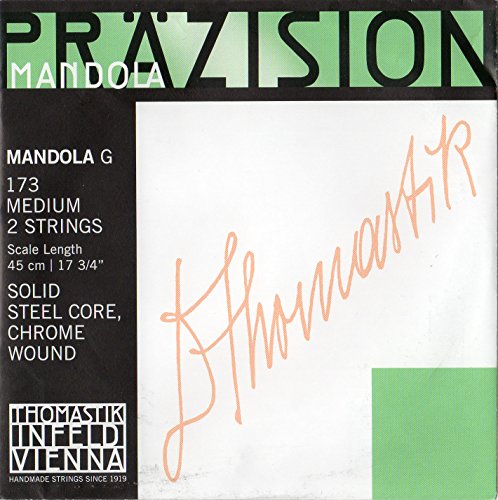 Thomastik Einzelsaite G 173mittel (1 Paar) poliertes Chromstahlband, flatwound für Mandola Präzision Satz 174mittel
