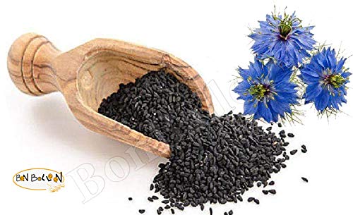 Organic Black Seeds Blackseed Whole Nigella Sativa Black Cumin Seed Kalonji Habbatus Sauda Sunnah Spice Herbs Herbal Fresh Raw Natural Vegan Non GMO, Gluten Free, Additives Free (1 Lb / 450 gm) - Thumbnail 7