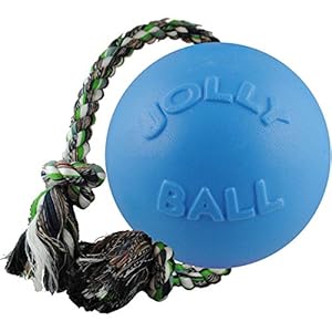 Romp-n-Roll Ball Dog Toy Color: Blueberry, Size: 8" Romp n Roll Ball Dog Toy Color Blueberry Size 8