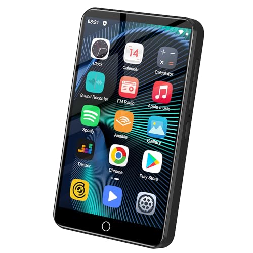 80GB MP3�v���[���[�ABluetooth��WiFi�A2000mAh���`�E���|���}�[�o�b�e���[�t���B