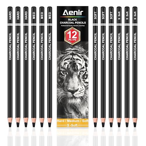 Aenir Charcoal Pencils for drawing Set of 12 Charcoal Drawing Pencils (S-Soft Soft Medium Hard) Art Supplies for Artist Sketching Shading