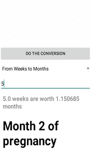 Weeks to Pregnancy Months