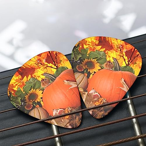 Autumn Leaves Happy Thanksgiving Day Lot de 12 médiators tendance et durables en forme de citrouille pour ukulélé guitare électrique basse - Les Beatles, Paul McCartney, John Lennon, RIngo Starr, George Harrison Autumn Leaves Happy Thanksgiving Day Lot de 12 médiators tendance et durables en forme de citrouille pour ukulélé guitare électrique basse – Image 8