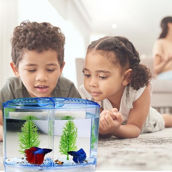 Betta Fish Tank with 2 compartments | Fighter Fish Tank with partition | Suitable only for Small Fishes