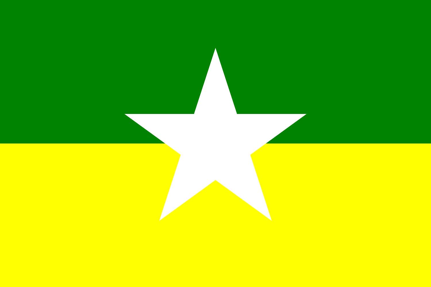 Drapeau XL Zarzal de Valle del Cauca Colombie grand format pour mât