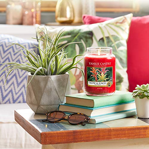 Yankee Candle Tropical Jungle, Candela profumata