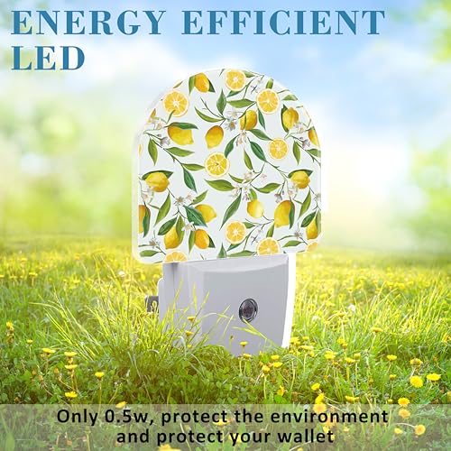 Image of Watercolor Lemon Floral Night Light Plug into Wall with Dusk to Dawn Sensor Cute Nightlight for Kid Girls Boys Women Men Room Decor, Hallway, Kitchen, Bathroom, Nursery, Stairs