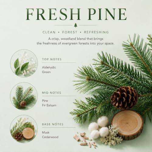 Image of Airkeep Reed Diffuser Set,3.38 fl oz (100 ml) - Fresh Pine Oil Diffusers with 8 Reed Sticks, Home Fragrance Reed Diffuser for Bathroom Shelf Decor