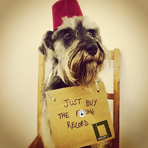 Play Gentlemen in Squalor (Video Version) by The Top Shelf Band on