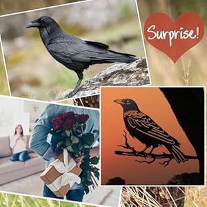 Raven decormetal birds yard decormetal yard art outdoor and gardentree decorations outdoormetal yard animalsblack crows halloween decorgarden patio decor  urban country home decor