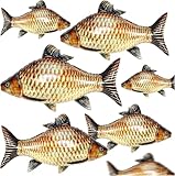 6 globos de peces, globos inflables de aluminio de 33 pulgadas, globos realistas con forma de océano para pesca, suministros de fiesta temática de cumpleaños