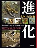進化――生命のたどる道