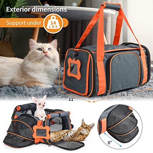 Pet Carrier with Wheels, LOOBANI Expandable Cat Carrier Airline