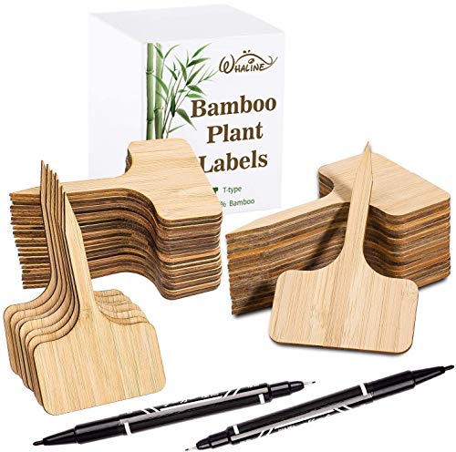 Zkptops 50Pcs Plant Labels 6 Inch Wooden Plant Tags Waterproof Garden Markers Plant Markers Garden Labels Sticks Eco-Friendly Wooden Plant Sign Stakes Sticks for Seed Pot Herbs Flowers Vegetables Zkptops 50Pcs Plant Labels 6 Inch Wooden Plant Tags Waterproof Garden Markers Plant Markers Garden Labels Sticks Eco-Friendly Wooden Plant Sign Stakes Sticks for Seed Pot Herbs Flowers Vegetables