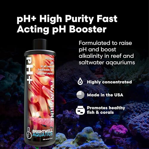 Brightwell pH + Plus produit ajustement pH récifal solution pour booster alcalinité - 3