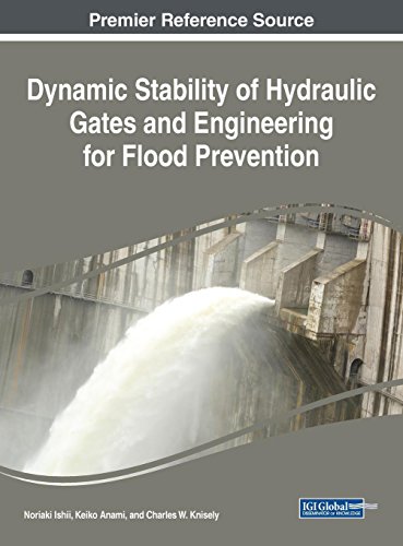 Dynamic Stability of Hydraulic Gates and Engineering for Flood Prevention (Advances in Civil and Ind Dynamic Stability of Hydraulic Gates and Engineering for Flood Prevention (Advances in Civil and Ind