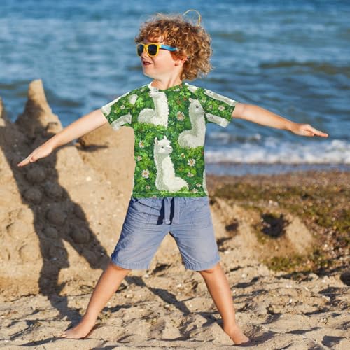 Kids Swimsuit Grass Alpaca Llamas Flower Sunscreen T-Shirts Swimwear Sets UPF 50+4
