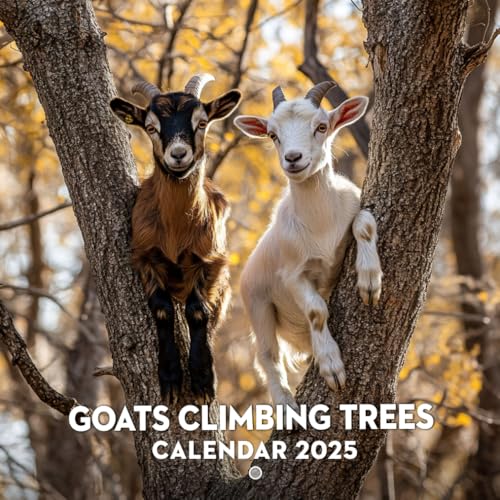 Goats Climbing Trees Calendar 2025: Whimsical images of goats in unexpected places
