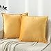 ZPXTI Funda cojín 45x45, Juego de 2 Fundas de cojín de Terciopelo, Fundas de cojín Decorativas Suaves y Transpirables para Sofá, Dormitorio y Sala de Estar, con Cremallera (Amarillo, 45x45cm)
