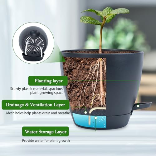Koalaime Hanging Planters For Indoor Plants thumb #4