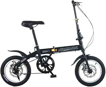 51utH1lONtL._AC_UF350,