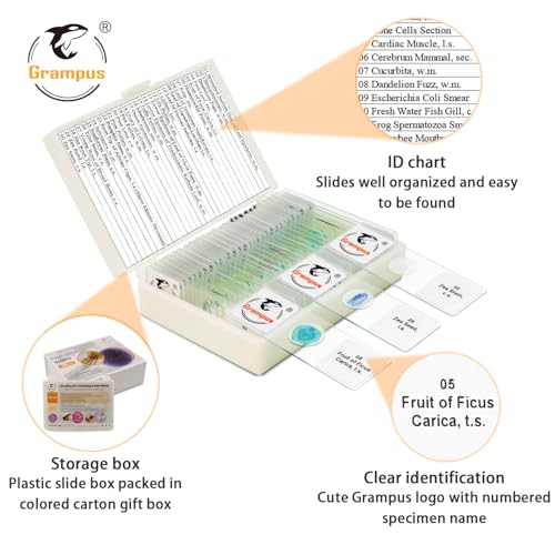Image of 30 Prepared Microscope Slides with Specimens for Kids Students - Plants, for Biological Science Lab, Children's Science Education, Homeschooling Use