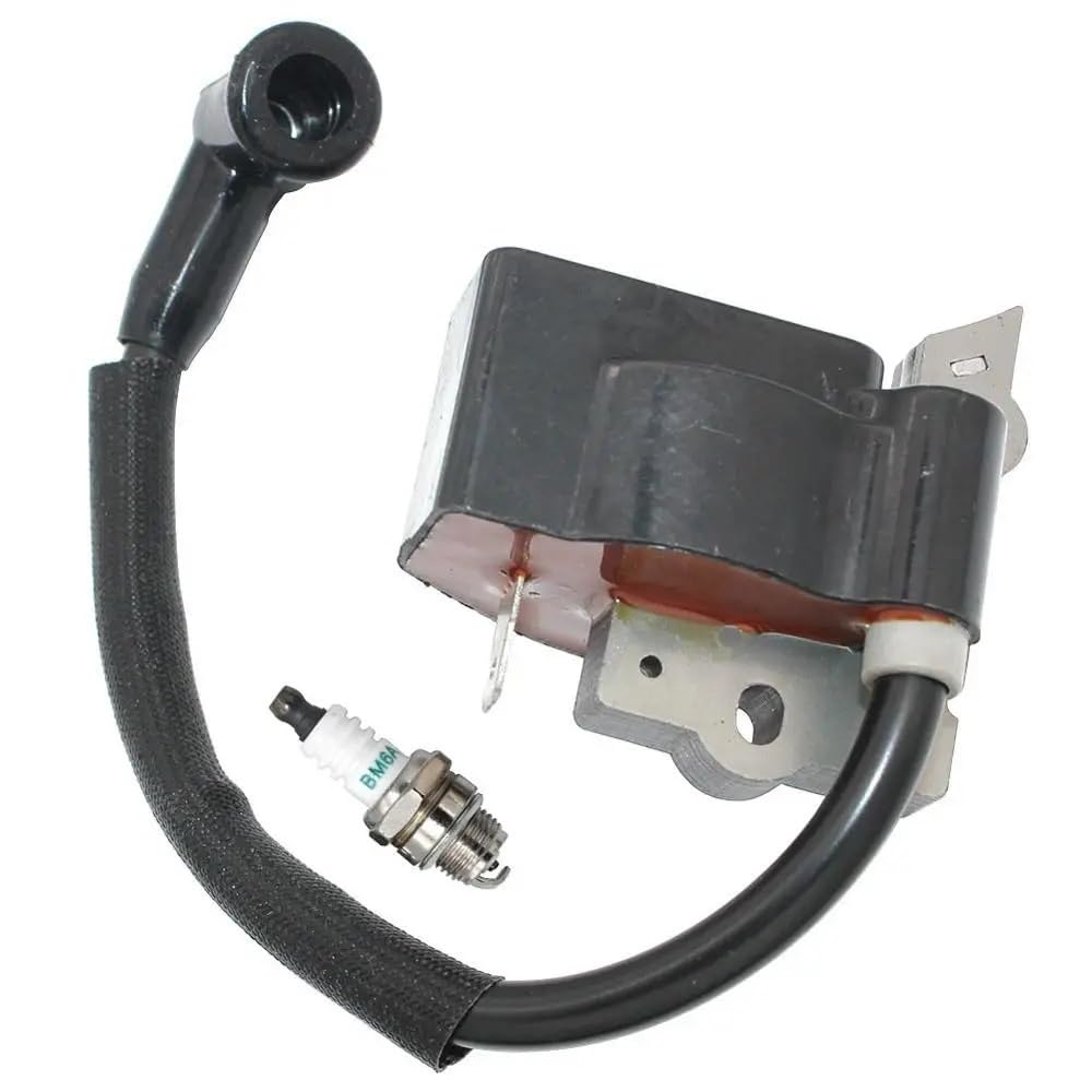 Compatible con determinados Modelos, incluidos XT125K X T125T WT3100 BC30B 176 196 PP111 Equipo de energía Exterior