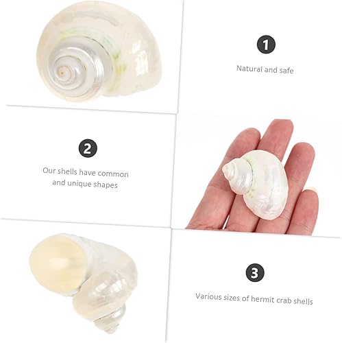 Miniatura 4 de BESTOYARD 50 Pcs Fish Tank Conch Fish Tank Shell Decors Ocean Themed Ornaments Nautical Shells Decoration Fairy Shells Ornaments Hand Decor