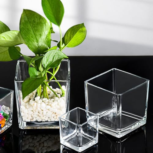 Vase hydroponique en verre transparent 4,5 pouces pour fleurs