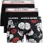Sedona Sage