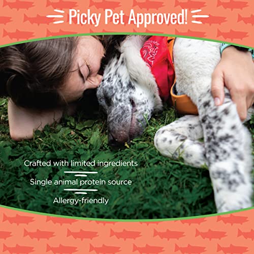 Smart Cookie Salmon Jerky Dog Treats - Dha & Omega Strips For Dogs & Puppies With Allergies, Sensitive Stomachs With Wild Caught Alaskan Salmon- Dehydrated, Grain Free, Made In Usa - 3Oz Bag Pack Of 1 #TOP7