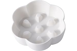 Slow Feeder Ceramic: The Purrfect Solution for Your Cat's Whiskers