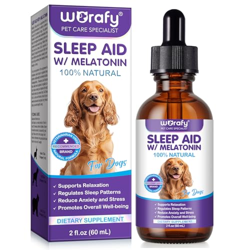 Die signale Von hunden halten lauter lärm aus, bei allen arten und größen
