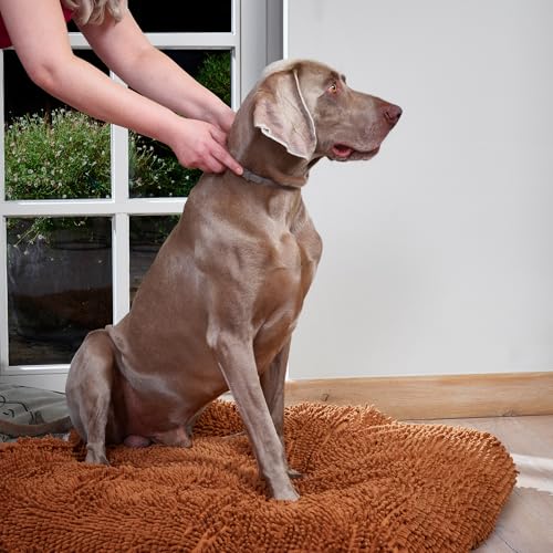 Beaphar Canicomfort Hundehalsband, beruhigend mit Pheromonen, 1 Stück, 65 cm