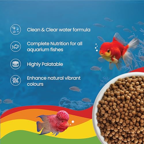 Image of Small Floating Fish Food Pellets 100g | 3.5mm Pellet Size | Highly Digestible & Nutritious Fish Feed for All Aquarium Fish